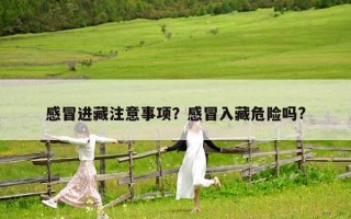 感冒进藏注意事项？感冒入藏危险吗?