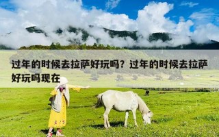过年的时候去拉萨好玩吗？过年的时候去拉萨好玩吗现在