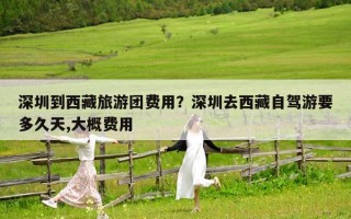 深圳到西藏旅游团费用？深圳去西藏自驾游要多久天,大概费用