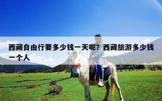 西藏自由行要多少钱一天呢？西藏旅游多少钱一个人