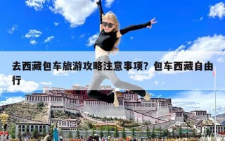 去西藏包车旅游攻略注意事项？包车西藏自由行