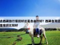 去西藏旅行报团好还是自由行好？西藏自驾还是报团比较好