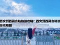 西安到西藏自助旅游攻略？西安到西藏自助旅游攻略图