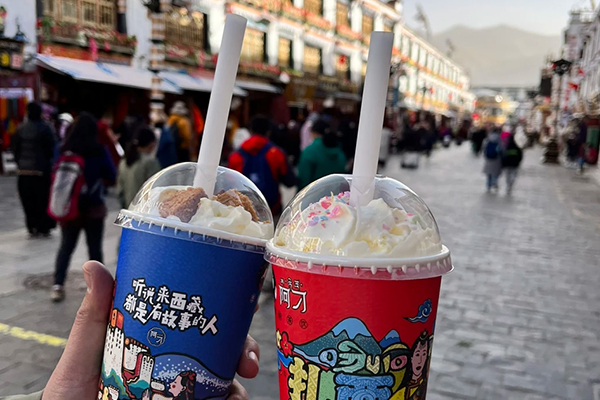 深圳到拉萨去玩一般要多少钱