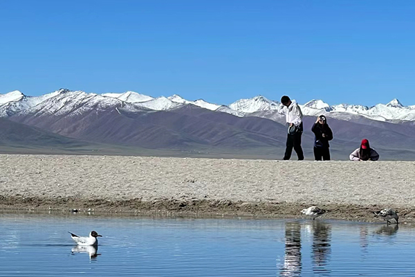 兰州到西藏旅游团六日游 兰州到西藏旅游团六日游