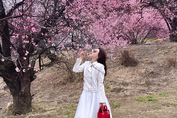 西藏林芝适合老人去吗