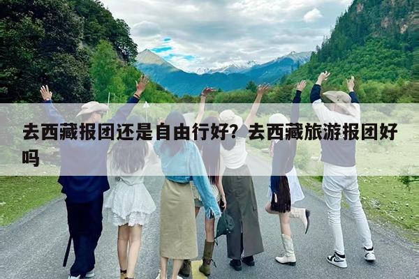 去西藏报团还是自由行好?去西藏旅游报团好吗