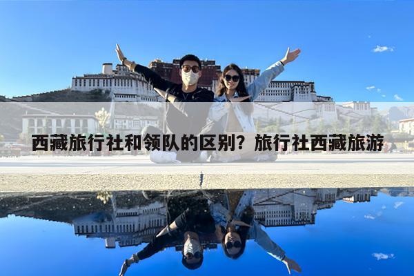 西藏旅行社和领队的区别?旅行社西藏旅游