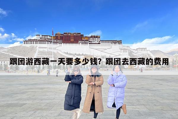 跟团游西藏一天要多少钱?跟团去西藏的费用