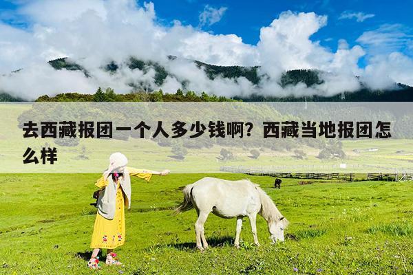 去西藏报团一个人多少钱啊?西藏当地报团怎么样