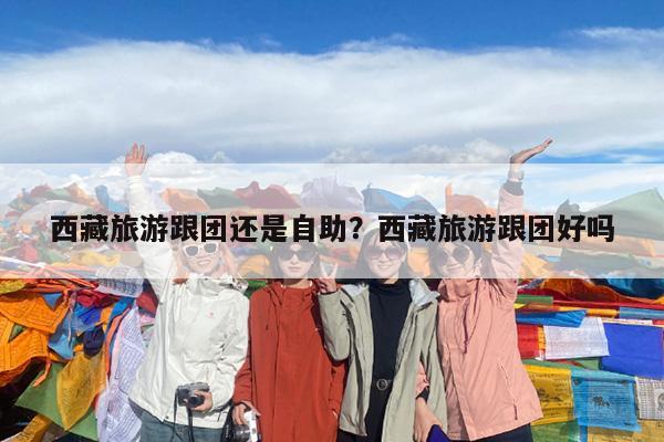 西藏旅游跟团还是自助?西藏旅游跟团好吗