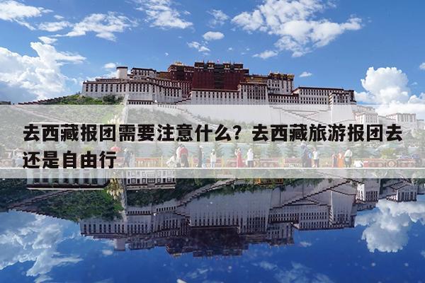 去西藏报团需要注意什么?去西藏旅游报团去还是自由行
