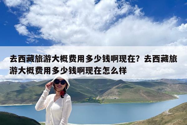 去西藏旅游大概费用多少钱啊现在?去西藏旅游大概费用多少钱啊现在怎么样