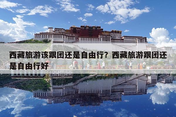 西藏旅游该跟团还是自由行?西藏旅游跟团还是自由行好