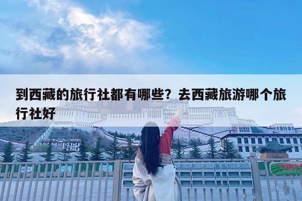 到西藏的旅行社都有哪些?去西藏旅游哪个旅行社好