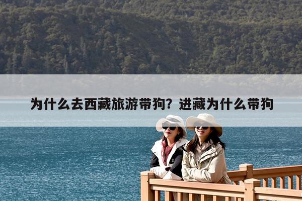 为什么去西藏旅游带狗?进藏为什么带狗