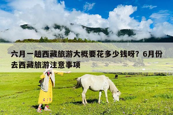 六月一趟西藏旅游大概要花多少钱呀?6月份去西藏旅游注意事项