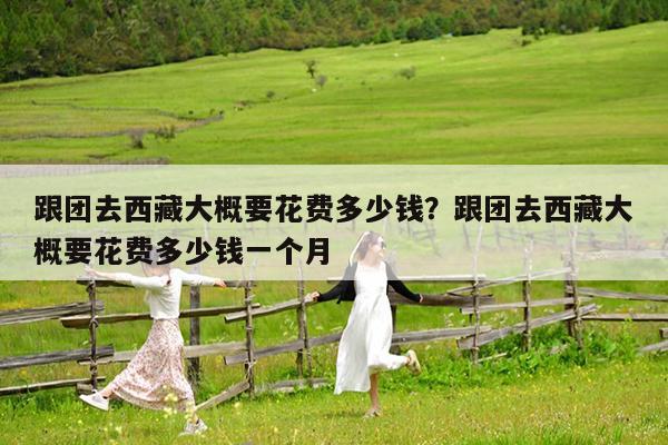 跟团去西藏大概要花费多少钱?跟团去西藏大概要花费多少钱一个月