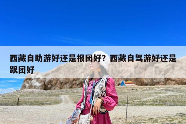 西藏自助游好还是报团好?西藏自驾游好还是跟团好