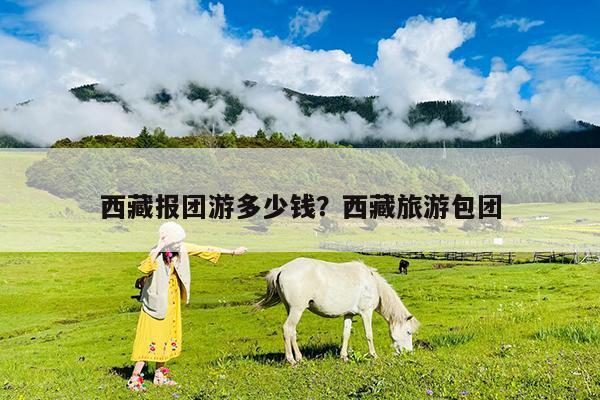 西藏报团游多少钱?西藏旅游包团