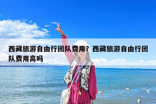 西藏旅游自由行团队费用?西藏旅游自由行团队费用高吗