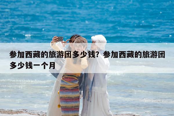 参加西藏的旅游团多少钱?参加西藏的旅游团多少钱一个月